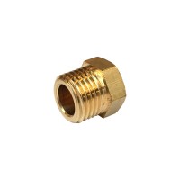 Blindplug 1/4" bu